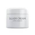 STŘÍBRNÝ KRÉM
 50 ml